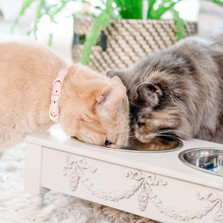 French Country Pet Feeder Swag and Ribbons