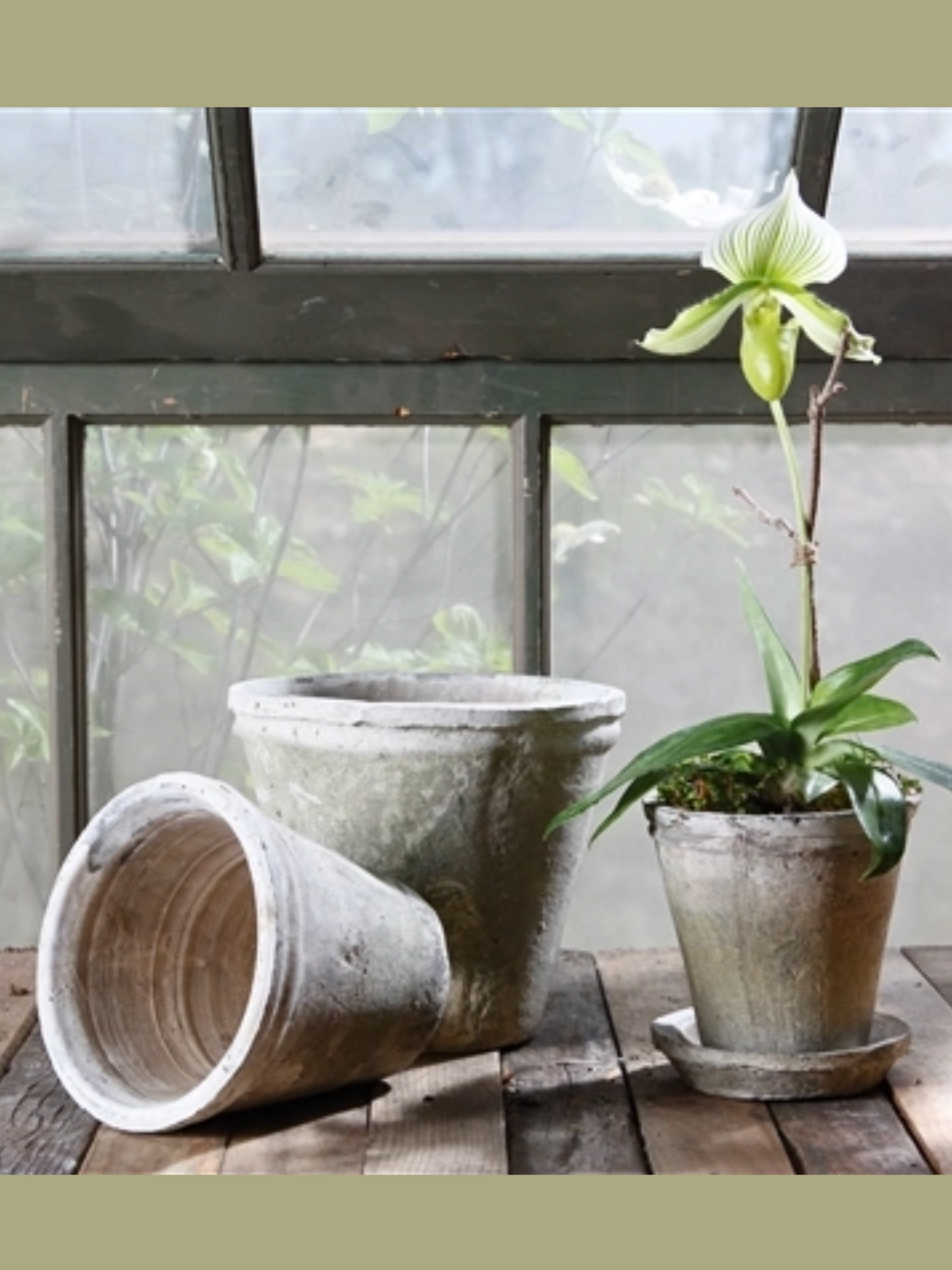 Rustic Terra Cotta Short Tomato Pot - Med - Whitestone
