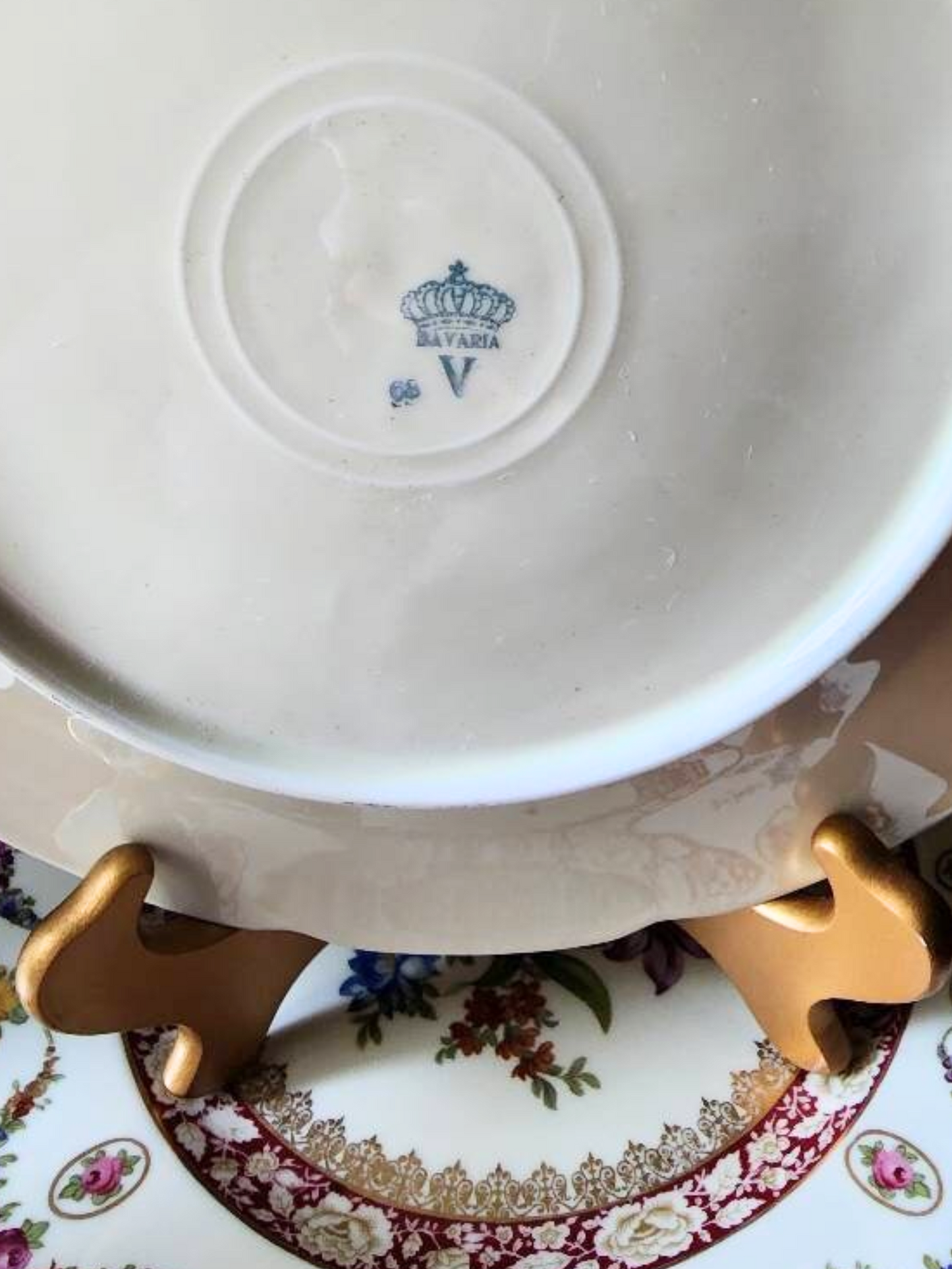 Dresden Dinnerware Fine Dinner Plates Set of 12
