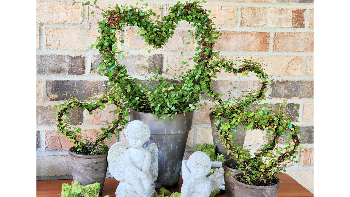 Heart Topiaries