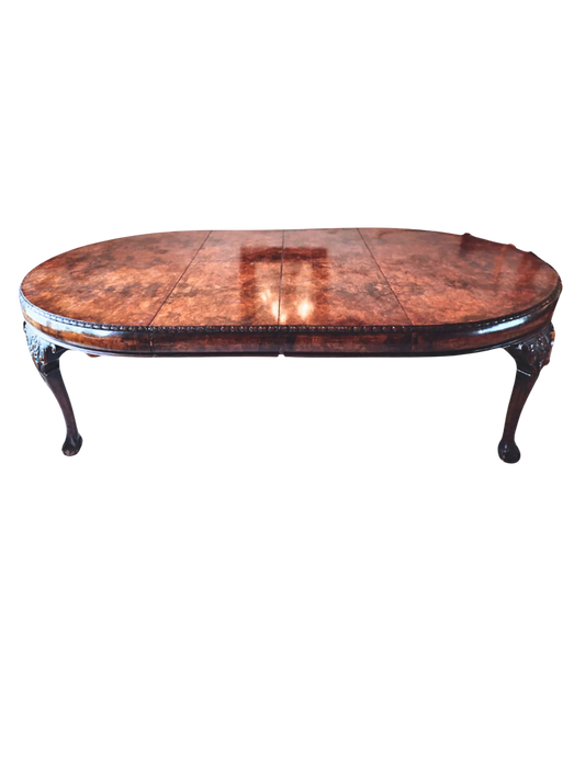 Antique dining table | Burlwood Ball and Claw Dining Table | English Antique dining table | Traditional dining table