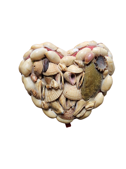 Seashell Heart Box Valentine gift